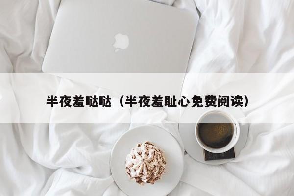 半夜羞哒哒（半夜羞耻心免费阅读）